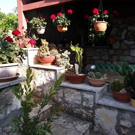 Boris Apartman Umag